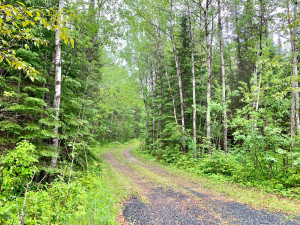 Photo for 1942 Town Rd. 117, Baudette, MN 56629 - Listing #5601344 1942 Town Rd. 117, Baudette, MN 56629