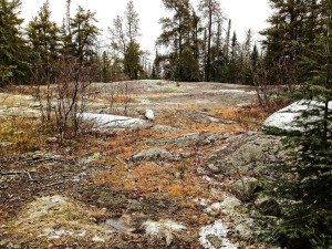 Photo for 1942 Town Rd. 117, Baudette, MN 56629 - Listing #5601344 1942 Town Rd. 117, Baudette, MN 56629