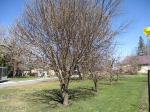Photo for 107 Washington Street SE, Warroad, MN 56763 - Listing #5602743 107 Washington Street SE, Warroad, MN 56763
