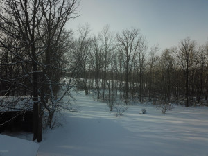 Photo for 29463 State Hwy 219 NE, Grygla, MN 56727 - Listing #5603833 29463 State Hwy 219 NE, Grygla, MN 56727