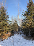 Photo for 7586 Railroad Street NW, Williams, MN 56686 - Listing #5604592 7586 Railroad Street NW, Williams, MN 56686