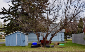 Photo for 721 Dewey Avenue N, Thief River Falls, MN 56701 - Listing #5604658 721 Dewey Avenue N, Thief River Falls, MN 56701