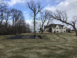 Photo for 22379 380th Street SE, Erskine, MN 56535 - Listing #5606318 22379 380th Street SE, Erskine, MN 56535