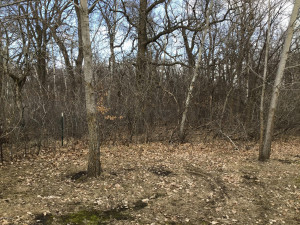 Photo for 22379 380th Street SE, Erskine, MN 56535 - Listing #5606318 22379 380th Street SE, Erskine, MN 56535
