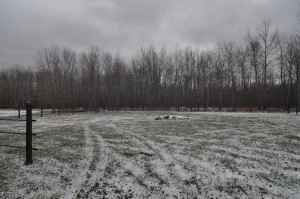 Photo for 6793 60th Street NW, Williams, MN 56686 - Listing #5606997 6793 60th Street NW, Williams, MN 56686