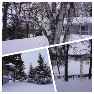 Photo for 611 Riverside Avenue S, Thief River Falls, MN 56701 - Listing #5600042 611 Riverside Avenue S, Thief River Falls, MN 56701