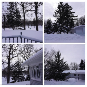 Photo for 611 Riverside Avenue S, Thief River Falls, MN 56701 - Listing #5600042 611 Riverside Avenue S, Thief River Falls, MN 56701