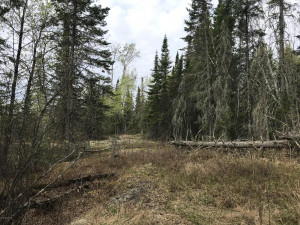 Photo for Northwest Angle Road NW, Angle Inlet, MN 56711 - Listing #5586200 Northwest Angle Road NW, Angle Inlet, MN 56711