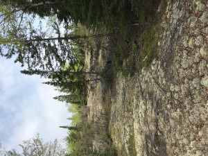 Photo for Northwest Angle Road NW, Angle Inlet, MN 56711 - Listing #5586200 Northwest Angle Road NW, Angle Inlet, MN 56711