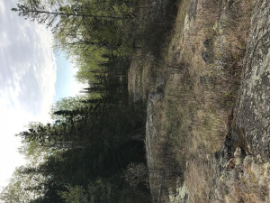 Photo for Northwest Angle Road NW, Angle Inlet, MN 56711 - Listing #5586200 Northwest Angle Road NW, Angle Inlet, MN 56711