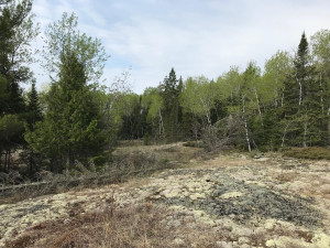 Photo for Northwest Angle Road NW, Angle Inlet, MN 56711 - Listing #5586200 Northwest Angle Road NW, Angle Inlet, MN 56711