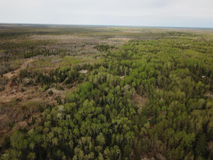 Photo for Northwest Angle Road NW, Angle Inlet, MN 56711 - Listing #5586200 Northwest Angle Road NW, Angle Inlet, MN 56711