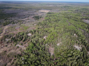 Photo for Northwest Angle Road NW, Angle Inlet, MN 56711 - Listing #5586200 Northwest Angle Road NW, Angle Inlet, MN 56711