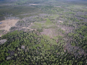 Photo for Northwest Angle Road NW, Angle Inlet, MN 56711 - Listing #5586200 Northwest Angle Road NW, Angle Inlet, MN 56711