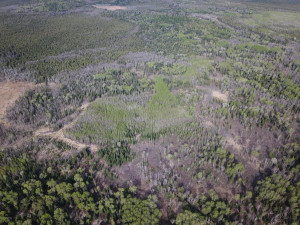 Photo for Northwest Angle Road NW, Angle Inlet, MN 56711 - Listing #5586200 Northwest Angle Road NW, Angle Inlet, MN 56711