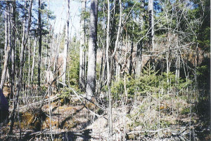 Photo for Northwest Angle Road NW, Angle Inlet, MN 56711 - Listing #5586200 Northwest Angle Road NW, Angle Inlet, MN 56711