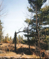 Photo for Northwest Angle Road NW, Angle Inlet, MN 56711 - Listing #5586200 Northwest Angle Road NW, Angle Inlet, MN 56711