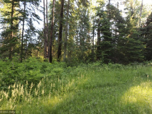 Photo for 12211 Hard Pine, Park Rapids, MN 56470 - Listing #5607303 12211 Hard Pine, Park Rapids, MN 56470