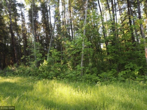 Photo for 12211 Hard Pine, Park Rapids, MN 56470 - Listing #5607303 12211 Hard Pine, Park Rapids, MN 56470