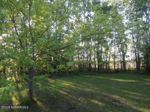 Photo for 19761 N Center Ave N Avenue, Thief River Falls, MN 56701 - Listing #5598014 19761 N Center Ave N Avenue, Thief River Falls, MN 56701