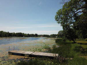 Photo for 6433 Walleye Lane NW, Williams, MN 56686 - Listing #5591166 6433 Walleye Lane NW, Williams, MN 56686