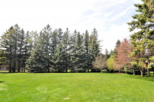 Photo for 607 2nd Avenue SE, Roseau, MN 56751 - Listing #5602663 607 2nd Avenue SE, Roseau, MN 56751