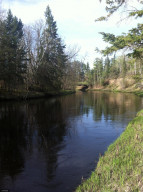Photo for TBD 63rd Street SW, Baudette, MN 56623 - Listing #5611091 TBD 63rd Street SW, Baudette, MN 56623