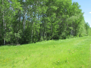 Photo for TBD 22nd Avenue, Baudette, MN 56623 - Listing #5586123 TBD 22nd Avenue, Baudette, MN 56623