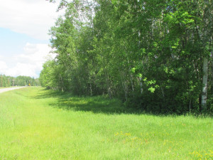 Photo for TBD 22nd Avenue, Baudette, MN 56623 - Listing #5586123 TBD 22nd Avenue, Baudette, MN 56623