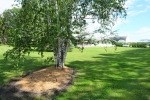 Photo for 49378 280th Street, Roseau, MN 56751 - Listing #5613777 49378 280th Street, Roseau, MN 56751
