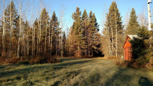 Photo for 1982 63rd Street, Baudette, MN 56623 - Listing #5611027 1982 63rd Street, Baudette, MN 56623