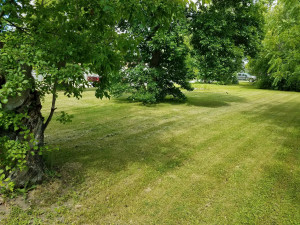 Photo for 402 Main Avenue S, Baudette, MN 56623 - Listing #5584596 402 Main Avenue S, Baudette, MN 56623