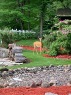 Photo for 1627 120th Street, Balsam Lake, WI 54810 - Listing #5616021 1627 120th Street, Balsam Lake, WI 54810