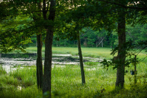 Photo for 1627 120th Street, Balsam Lake, WI 54810 - Listing #5616021 1627 120th Street, Balsam Lake, WI 54810