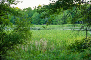 Photo for 1627 120th Street, Balsam Lake, WI 54810 - Listing #5616021 1627 120th Street, Balsam Lake, WI 54810