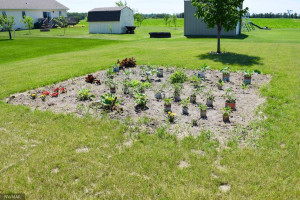 Photo for 2010 Washington Avenue, Thief River Falls, MN 56701 - Listing #5616183 2010 Washington Avenue, Thief River Falls, MN 56701