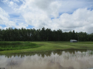 Photo for 32878 County Road 139, Badger, MN 56714 - Listing #5617328 32878 County Road 139, Badger, MN 56714