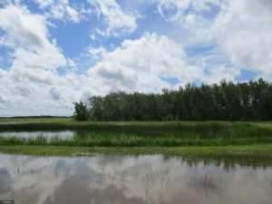 Photo for 32878 County Road 139, Badger, MN 56714 - Listing #5617328 32878 County Road 139, Badger, MN 56714