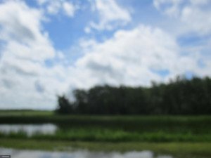 Photo for 32878 County Road 139, Badger, MN 56714 - Listing #5617328 32878 County Road 139, Badger, MN 56714