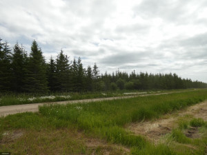 Photo for tbd Tamarack Drive SE, Baudette, MN 56623 - Listing #5619014 tbd Tamarack Drive SE, Baudette, MN 56623