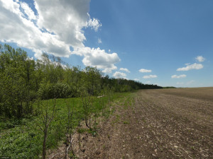 Photo for 72 Highway, Baudette, MN 56623 - Listing #5618800 72 Highway, Baudette, MN 56623