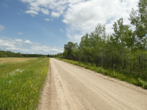 Photo for TBD Tamarack Drive SE, Baudette, MN 56623 - Listing #5619174 TBD Tamarack Drive SE, Baudette, MN 56623