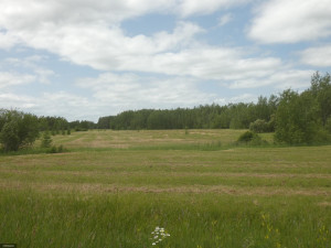 Photo for tbd Tamarack Drive SE, Baudette, MN 56623 - Listing #5619014 tbd Tamarack Drive SE, Baudette, MN 56623