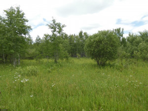 Photo for tbd Cedar Drive SE, Baudette, MN 56623 - Listing #5618955 tbd Cedar Drive SE, Baudette, MN 56623