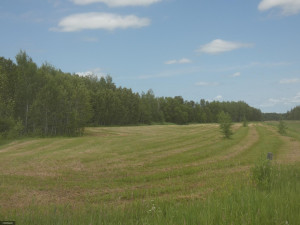 Photo for tbd Tamarack Drive SE, Baudette, MN 56623 - Listing #5619014 tbd Tamarack Drive SE, Baudette, MN 56623