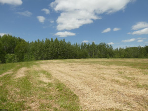 Photo for TBD Tamarack Drive SE, Baudette, MN 56623 - Listing #5619174 TBD Tamarack Drive SE, Baudette, MN 56623