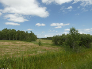 Photo for tbd Tamarack Drive SE, Baudette, MN 56623 - Listing #5619014 tbd Tamarack Drive SE, Baudette, MN 56623