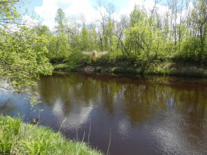 Photo for 72 Highway, Baudette, MN 56623 - Listing #5618800 72 Highway, Baudette, MN 56623
