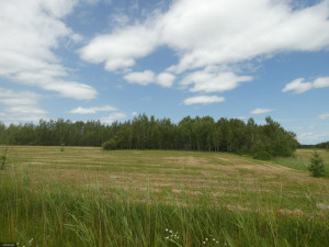 Photo for tbd Tamarack Drive SE, Baudette, MN 56623 - Listing #5619014 tbd Tamarack Drive SE, Baudette, MN 56623