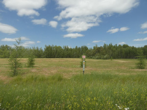Photo for tbd Tamarack Drive SE, Baudette, MN 56623 - Listing #5619014 tbd Tamarack Drive SE, Baudette, MN 56623